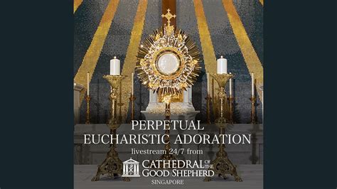 live adoration|24 hour eucharistic adoration online.